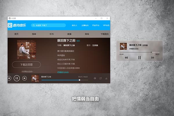 在线：独特“映射”功能，兼容多平台音乐截图